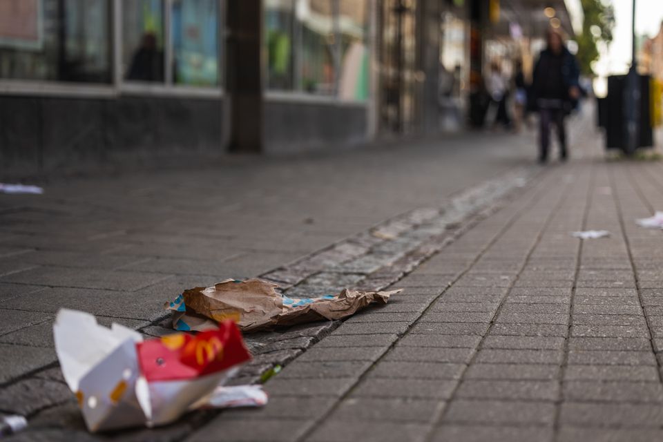 Nedskräpningen i Sverige har minskat med 30 procent sedan 2023. Foto: Jonas Holmqvist